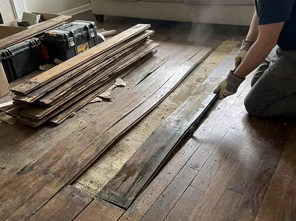 Water Damage Drying in Jenkinsburg