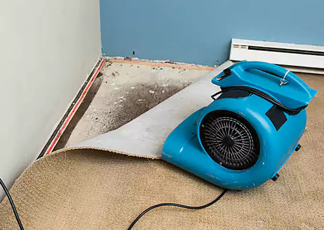 Your Water Damage Experts in Jenkinsburg, GA