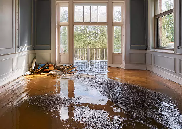 Your Disaster Restoration Services in Jenkinsburg, GA