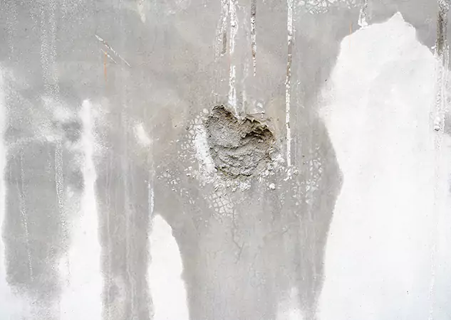 Your Mold Mitigation Solutions Partner in Jenkinsburg, GA