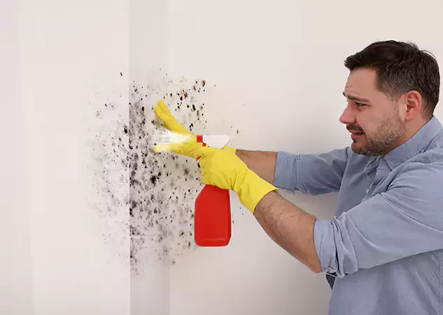 Your Water Mold Fire Restoration Partner in Jenkinsburg, GA