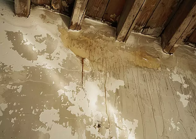 Your Trusted Restoration Company in Jenkinsburg, GA