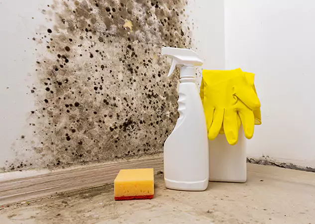 Your Reliable Restoration Company in Jenkinsburg, GA