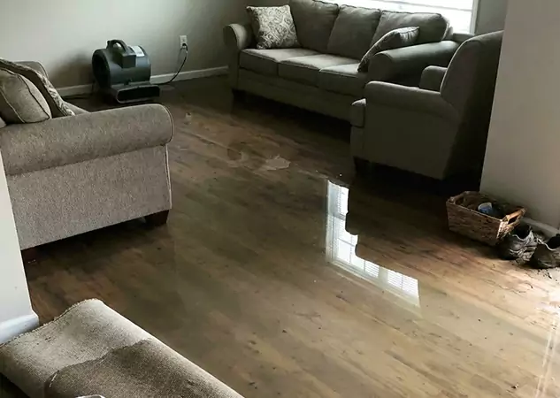 Your Trusted Restoration Company in Jenkinsburg, GA
