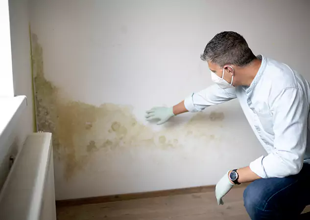 Reach Our Remediation Team Before Damage Grows in Jenkinsburg, GA!