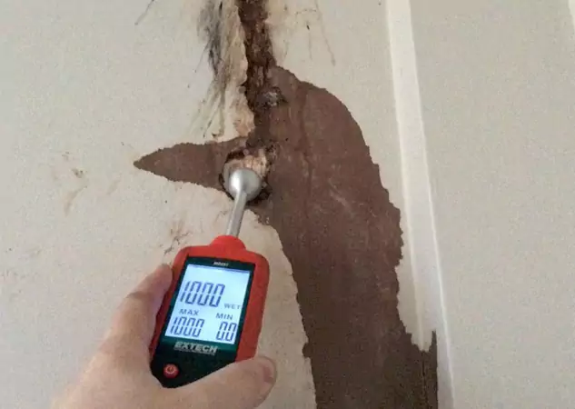 Your Water Damage Assessment Partner in Jenkinsburg, GA