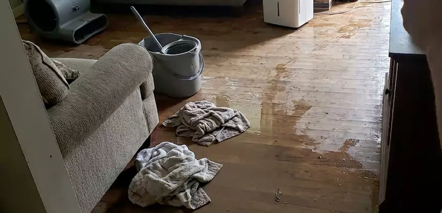 Professional Basement Water Remediation Services in Jenkinsburg, GA