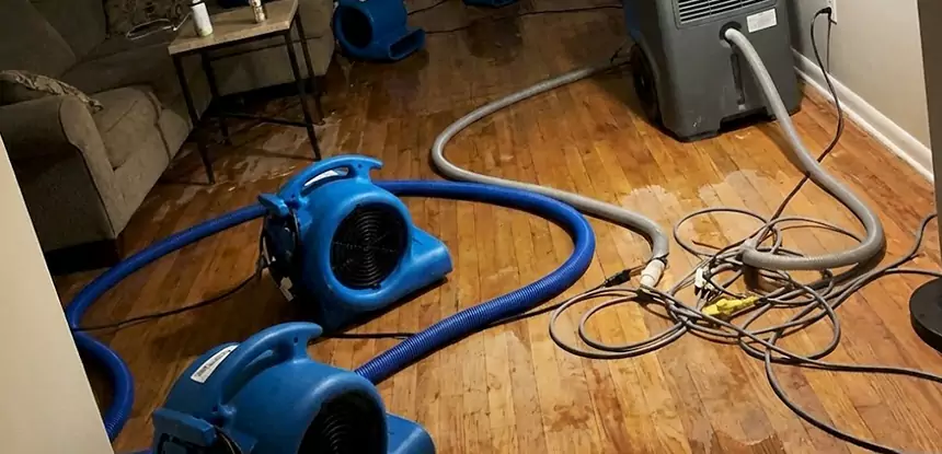 Basement Flood Restoration Services in Jenkinsburg