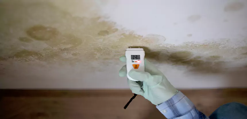 Emergency Mold Remediation in Jenkinsburg