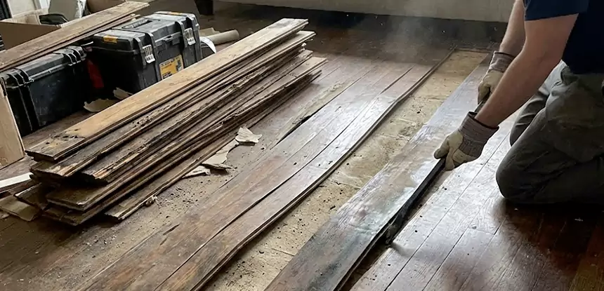 Wood Rot and Fungus Repair in Jenkinsburg