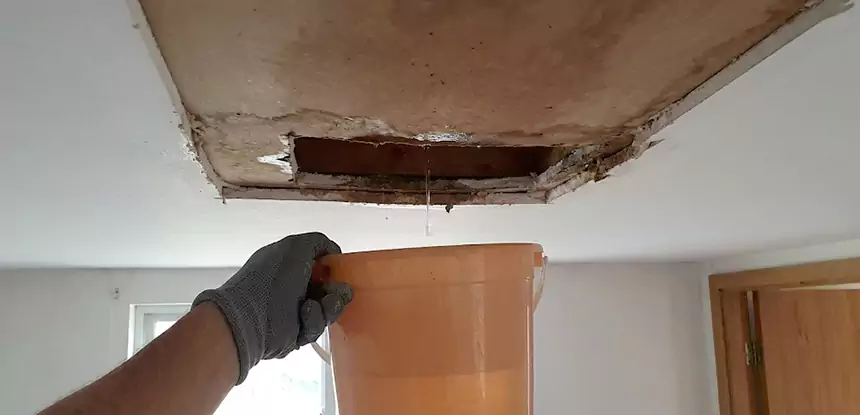 Ceiling Mold Repair Jenkinsburg 