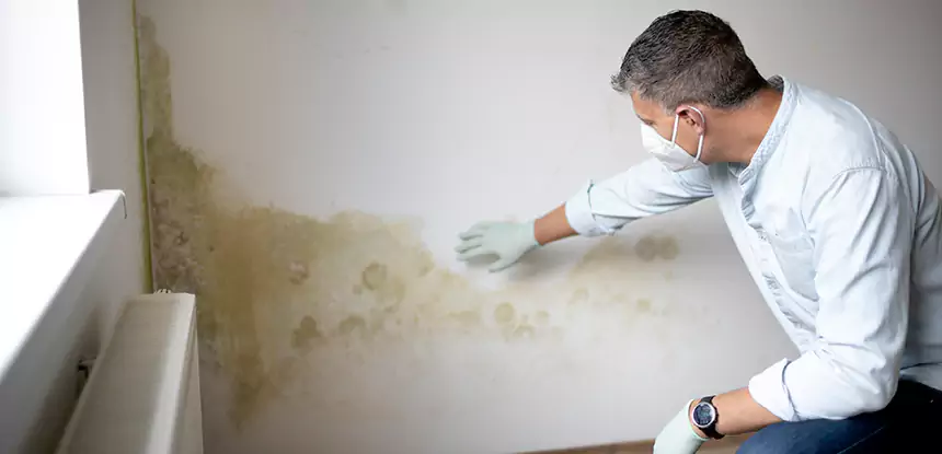 Mold and Water Damage Repair in Jenkinsburg