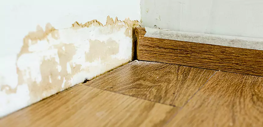 Professional Fix Water Damaged Wood Services in Jenkinsburg, GA