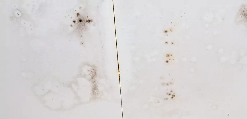 Professional Water Stain Repair Services in Jenkinsburg, GA