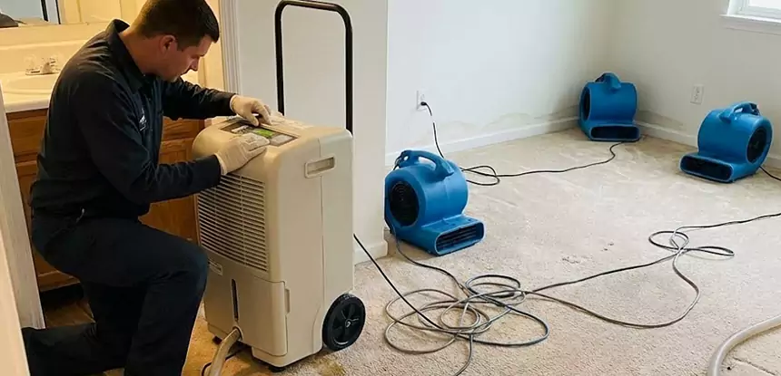 Professional Wet Carpet Removal Services in Jenkinsburg, GA