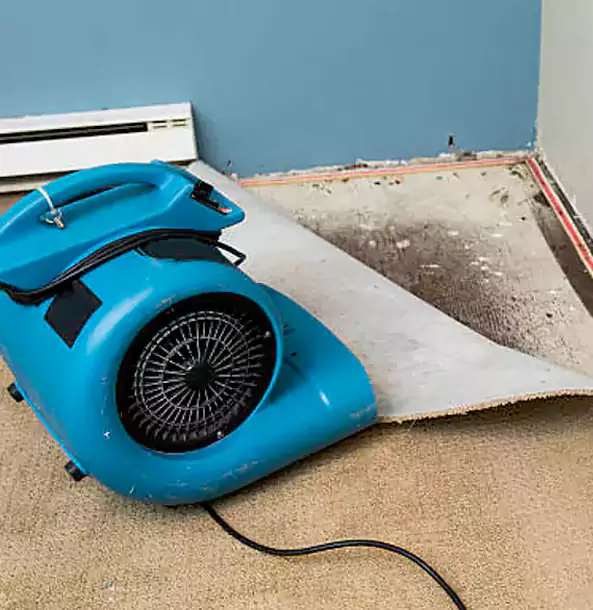Why Jenkinsburg Trusts Jenkinsburg Restoration Pro for Carpet Flood Recovery?