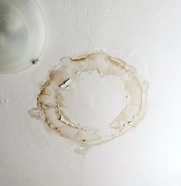 Why Jenkinsburg Property Owners Choose Jenkinsburg Restoration Pro for Ceiling Water Damage Restoration?