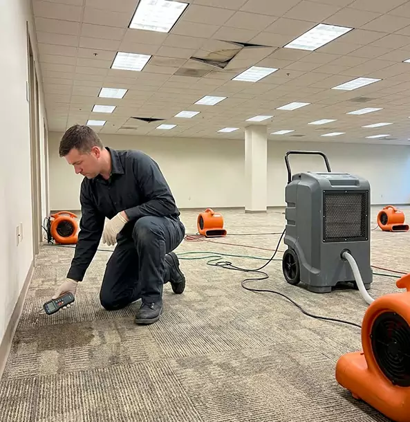 Why Jenkinsburg Businesses Choose Jenkinsburg Restoration Pro for Water Cleanup?