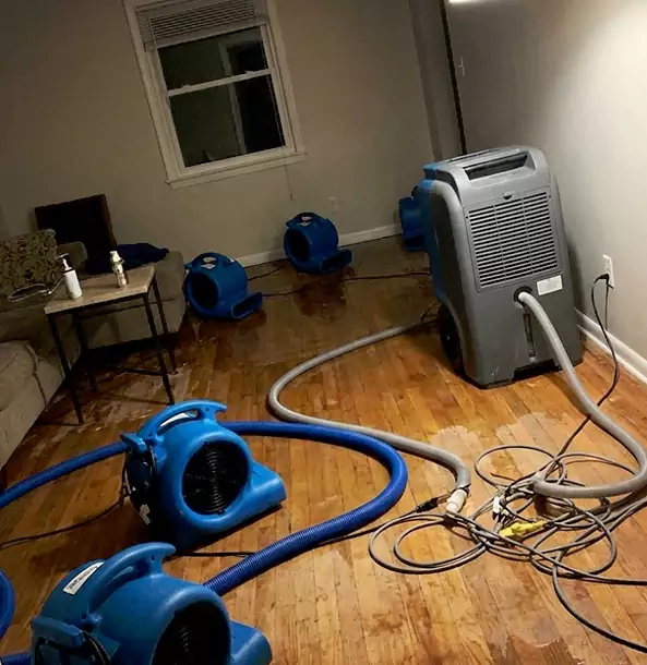 Why Jenkinsburg Calls Jenkinsburg Restoration Pro First for Emergency Restoration?