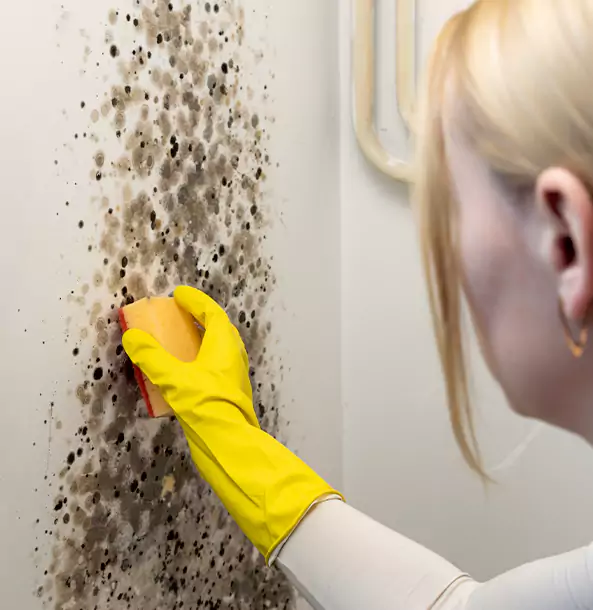 Why Jenkinsburg Restoration Pro Leads Mold Remediation in Jenkinsburg?