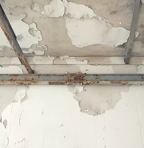 Why Jenkinsburg Restoration Pro Is the Right Choice in Jenkinsburg, GA?