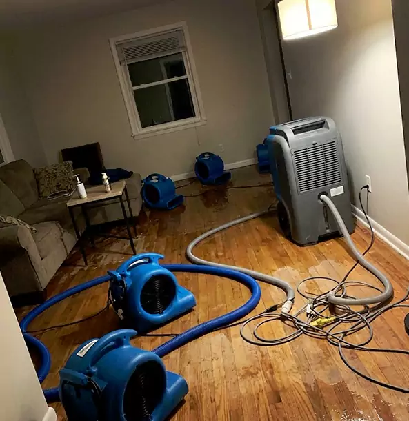 Why Jenkinsburg Property Owners Rely on Jenkinsburg Restoration Pro for Remediation?