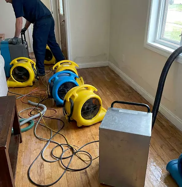 Why Jenkinsburg Property Owners Choose Jenkinsburg Restoration Pro for Remediation?