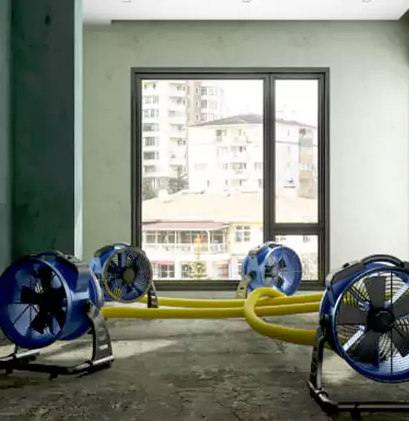 Why Jenkinsburg Property Owners Trust Jenkinsburg Restoration Pro for Water Damage Drying?