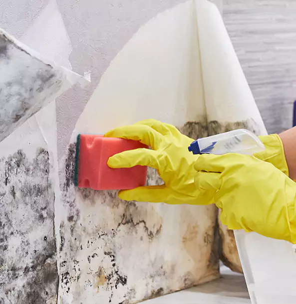Why Jenkinsburg Trusts Jenkinsburg Restoration Pro for Mold and Water Restoration?