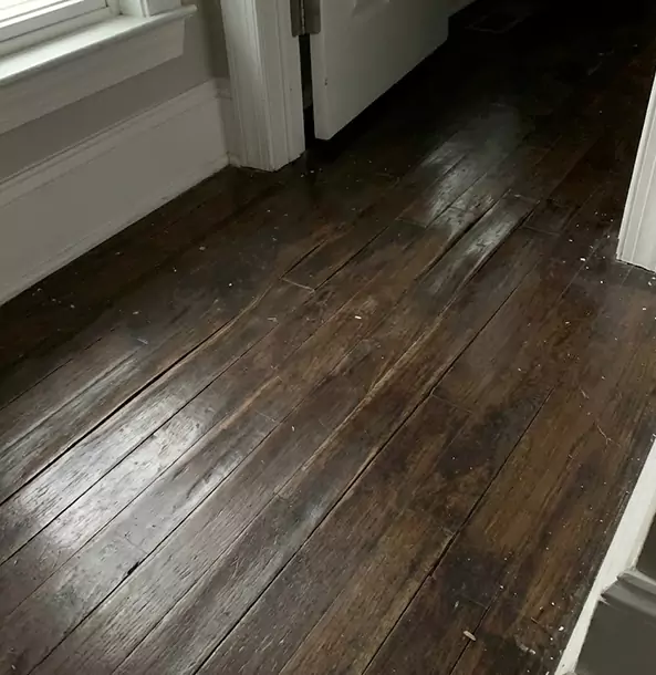 Why Jenkinsburg Homeowners Trust Jenkinsburg Restoration Pro to Fix Water Damaged Wood?