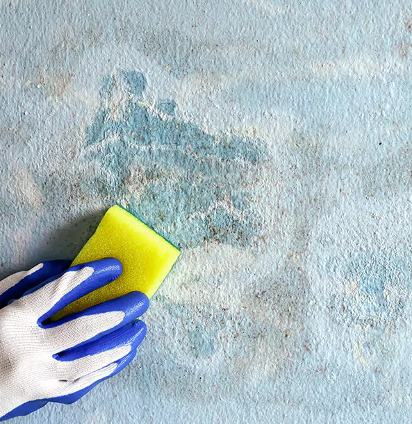 Why Jenkinsburg Restoration Pro Is the Right Choice in Jenkinsburg, GA?