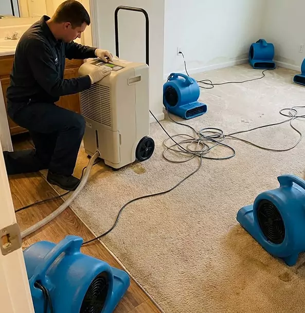 Why Jenkinsburg Homeowners and Businesses Trust Jenkinsburg Restoration Pro for Carpet Drying?