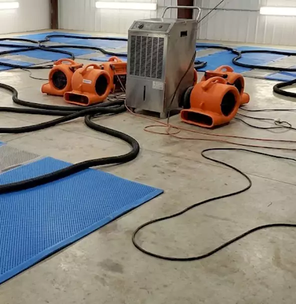 Why Jenkinsburg Homeowners and Businesses Choose Jenkinsburg Restoration Pro for Wet Carpet Removal?