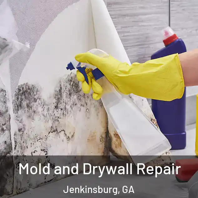  Mold and Drywall Repair Jenkinsburg, GA