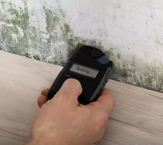Mold Remediation Service Jenkinsburg