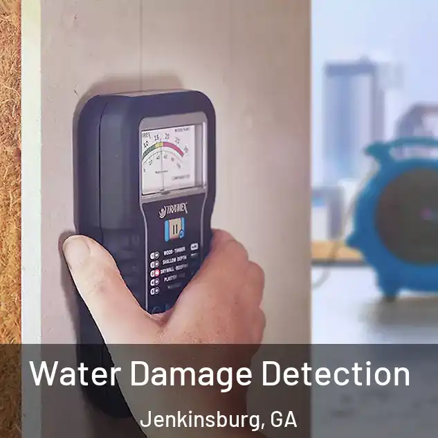  Water Damage Detection Jenkinsburg, GA