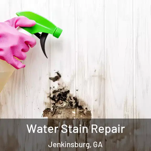  Water Stain Repair Jenkinsburg, GA