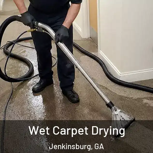  Wet Carpet Drying Jenkinsburg, GA